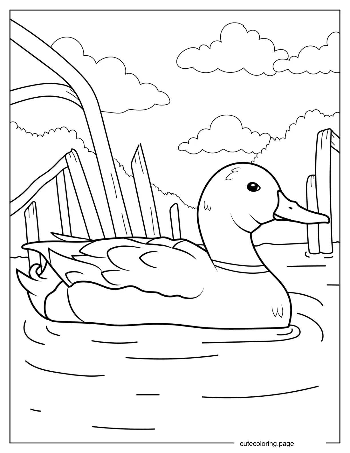 Mallard Floating In a Pond To Color coloring page