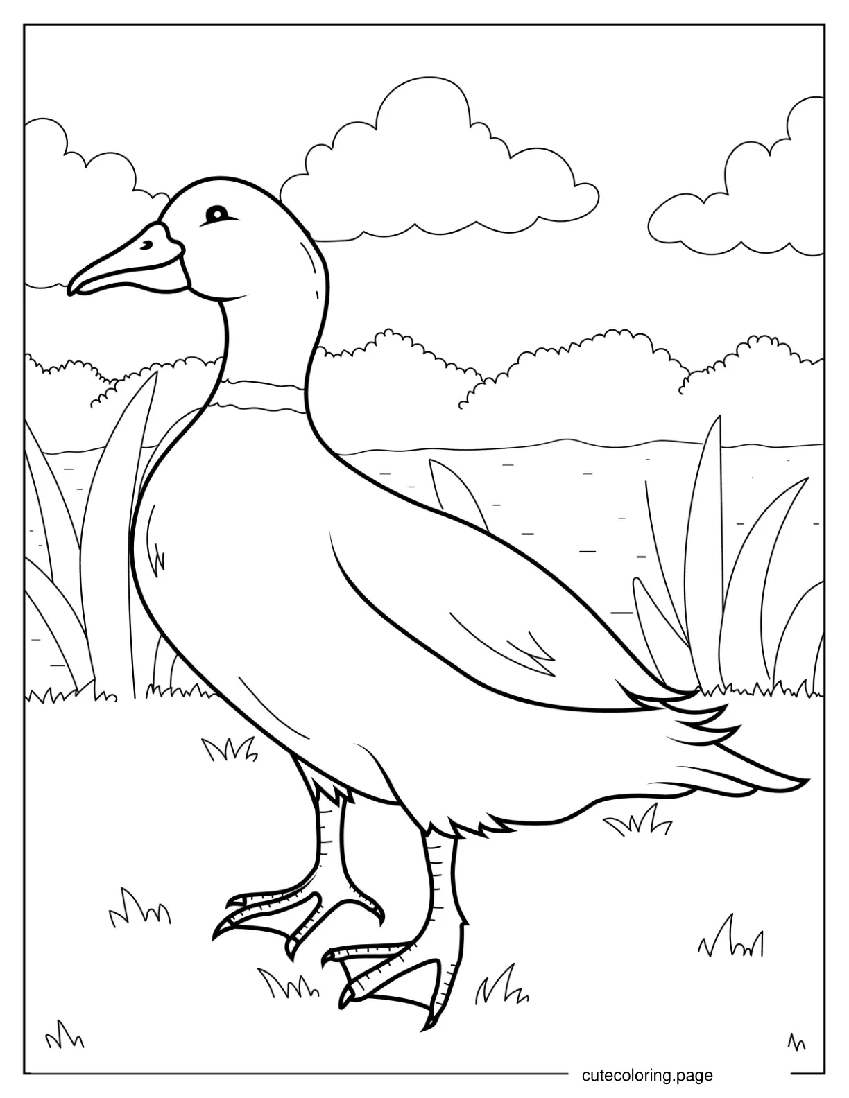 Realistic Coloring Page Of a Duck coloring page