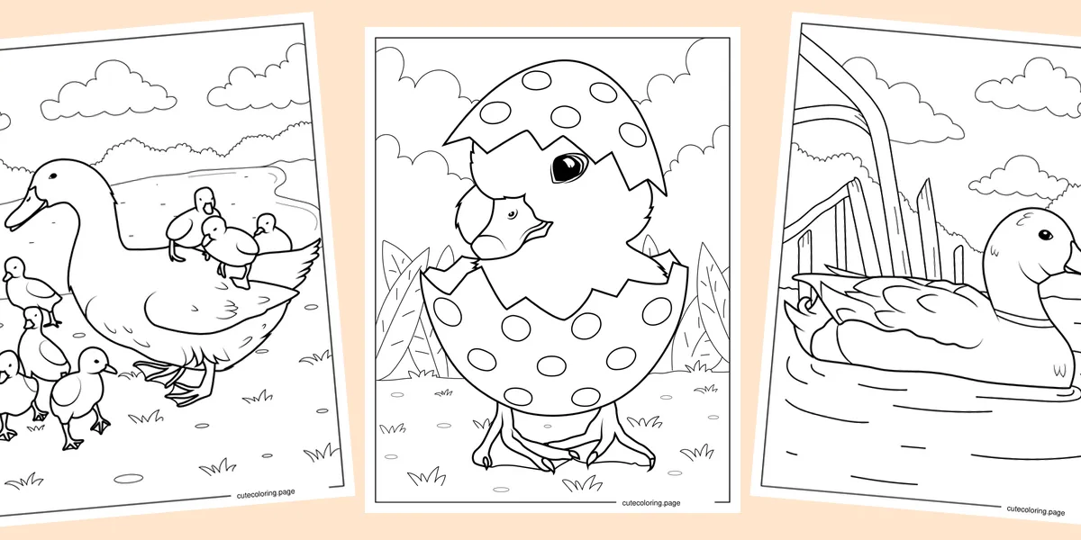 duck-coloring-pages