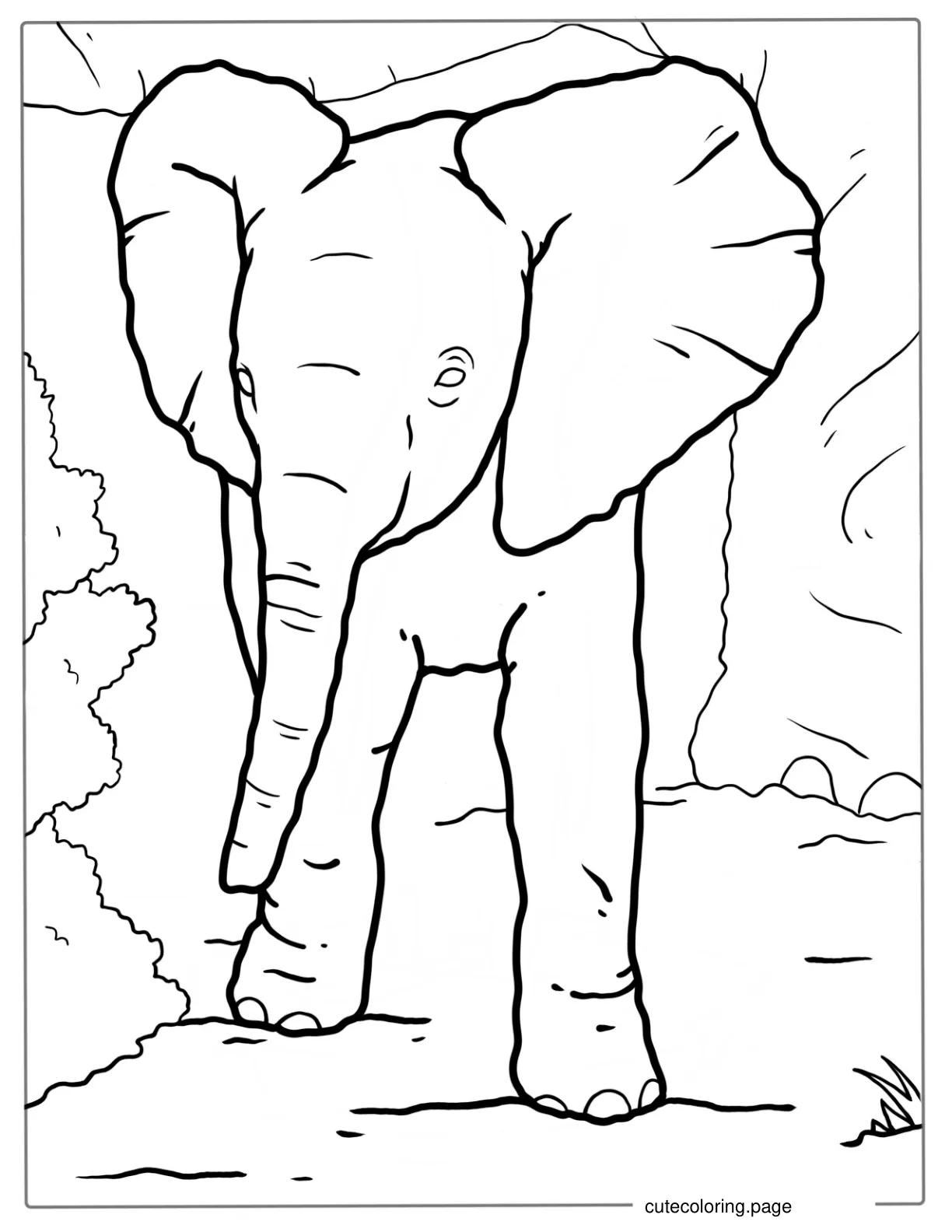 Baby Elephant Learning To Walk coloring page