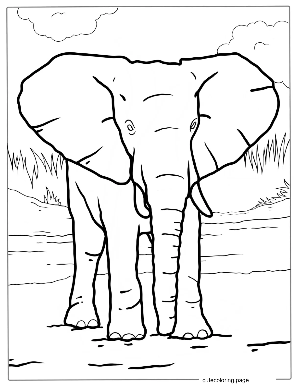 Cute Elephant With Big Ears Coloring Sheet coloring page