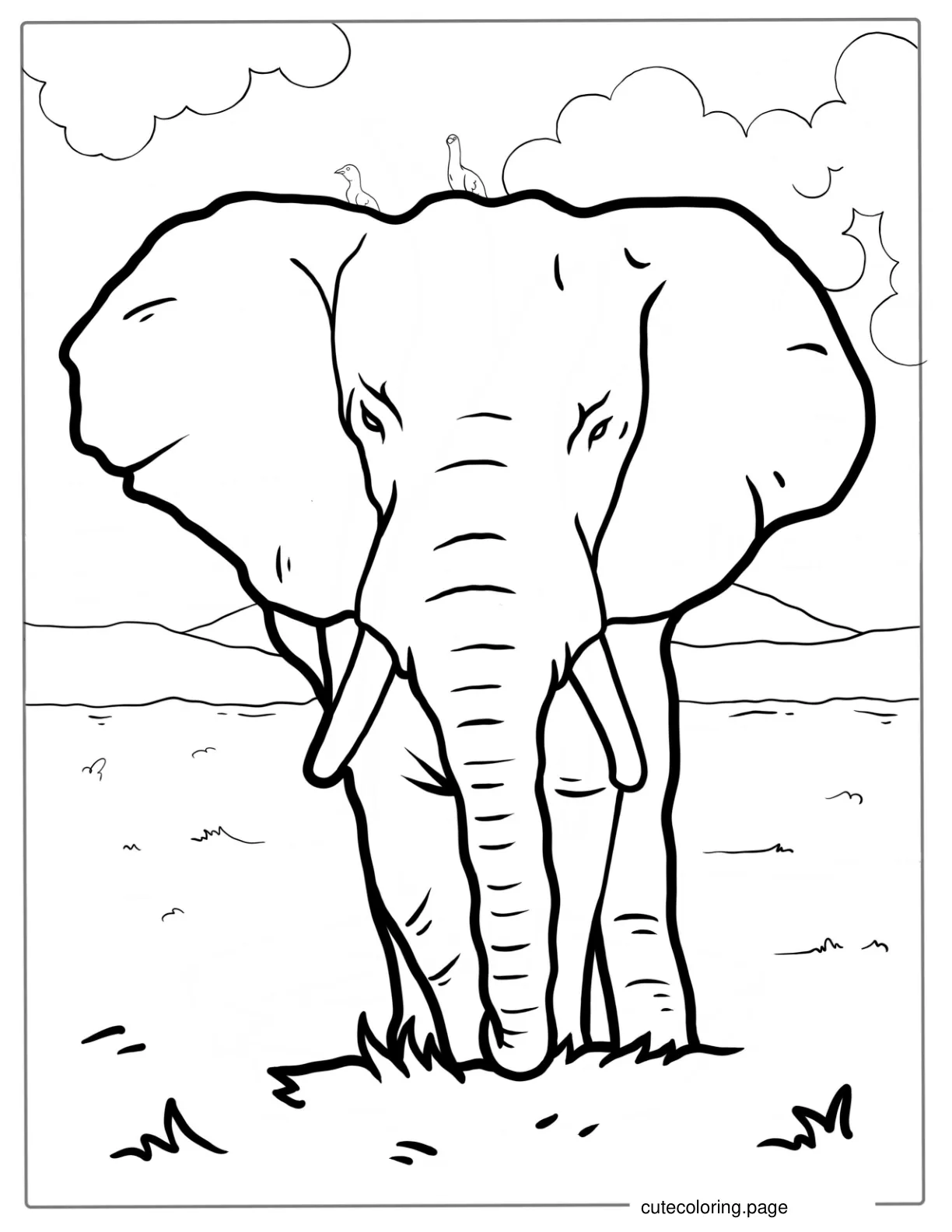 Majestic Elephant With Birds On Head Coloring Page coloring page