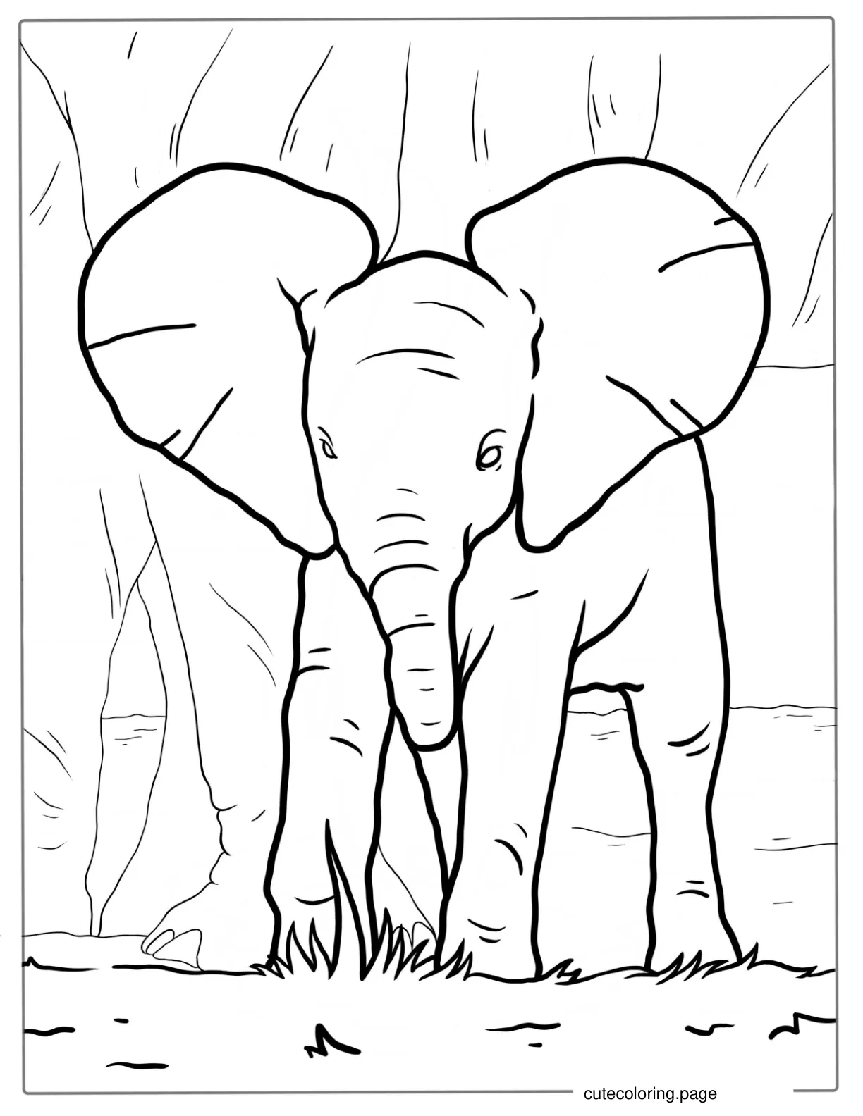 New Born Elephant With Mom Coloring Page coloring page