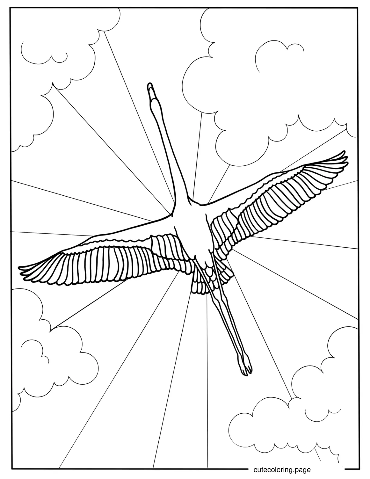 Flamingo Flying With Wings Spread Wide Open coloring page