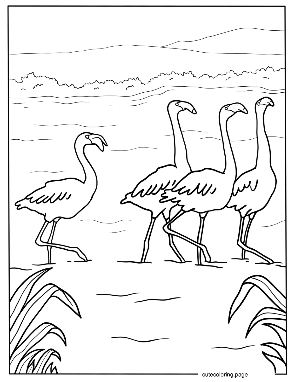 Flock Of Flamingos Walking In Water coloring page