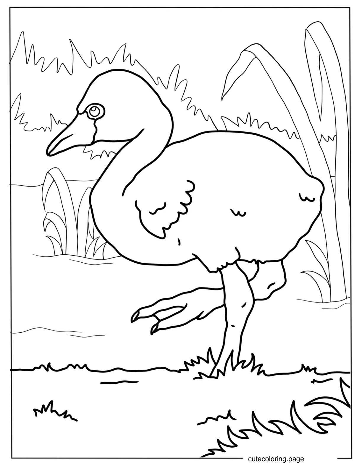 Realistic Baby Flamingo To Color coloring page