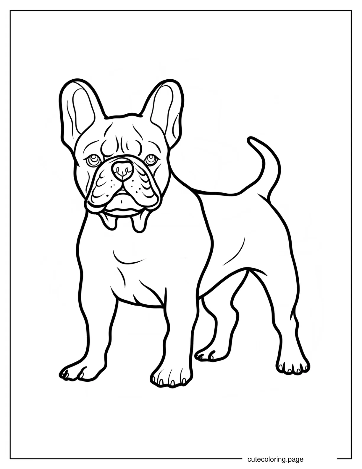 Realistic French Bulldog Coloring Sheet coloring page