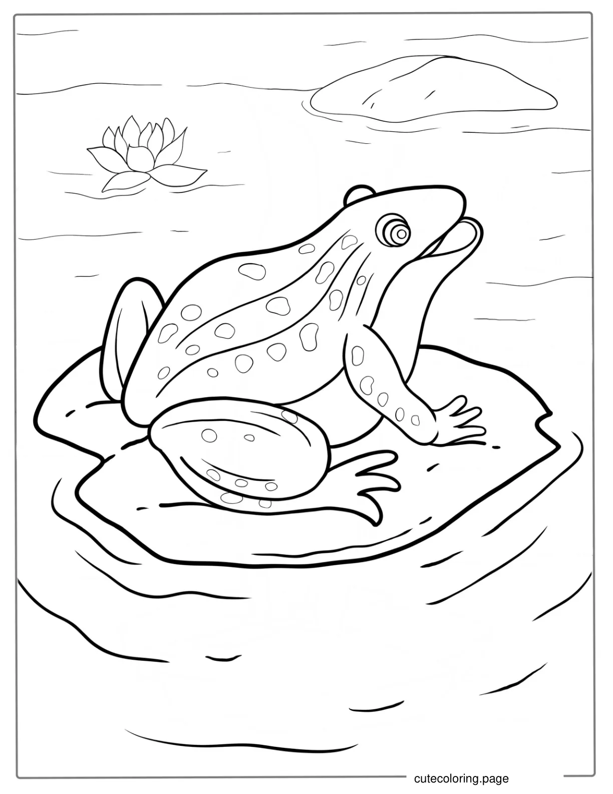 American Bullfrog Coloring Sheet coloring page