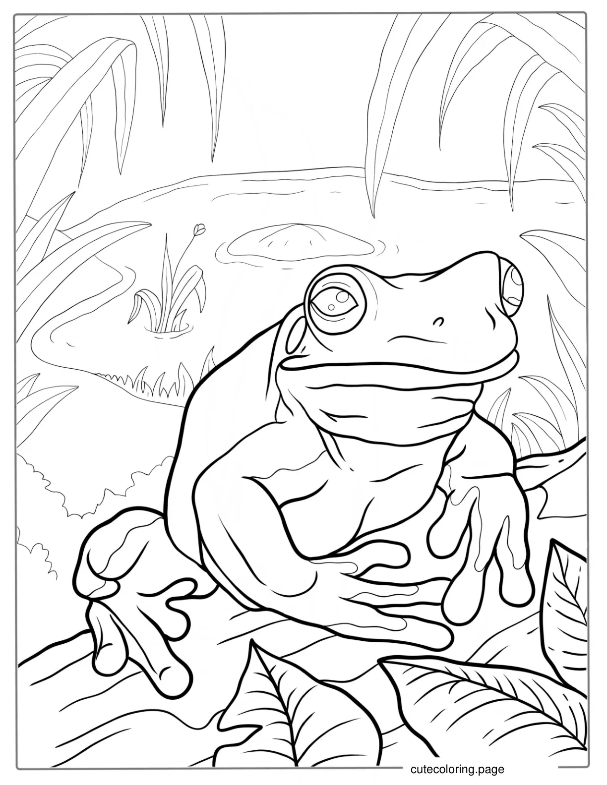 Australian Green Tree Frog coloring page