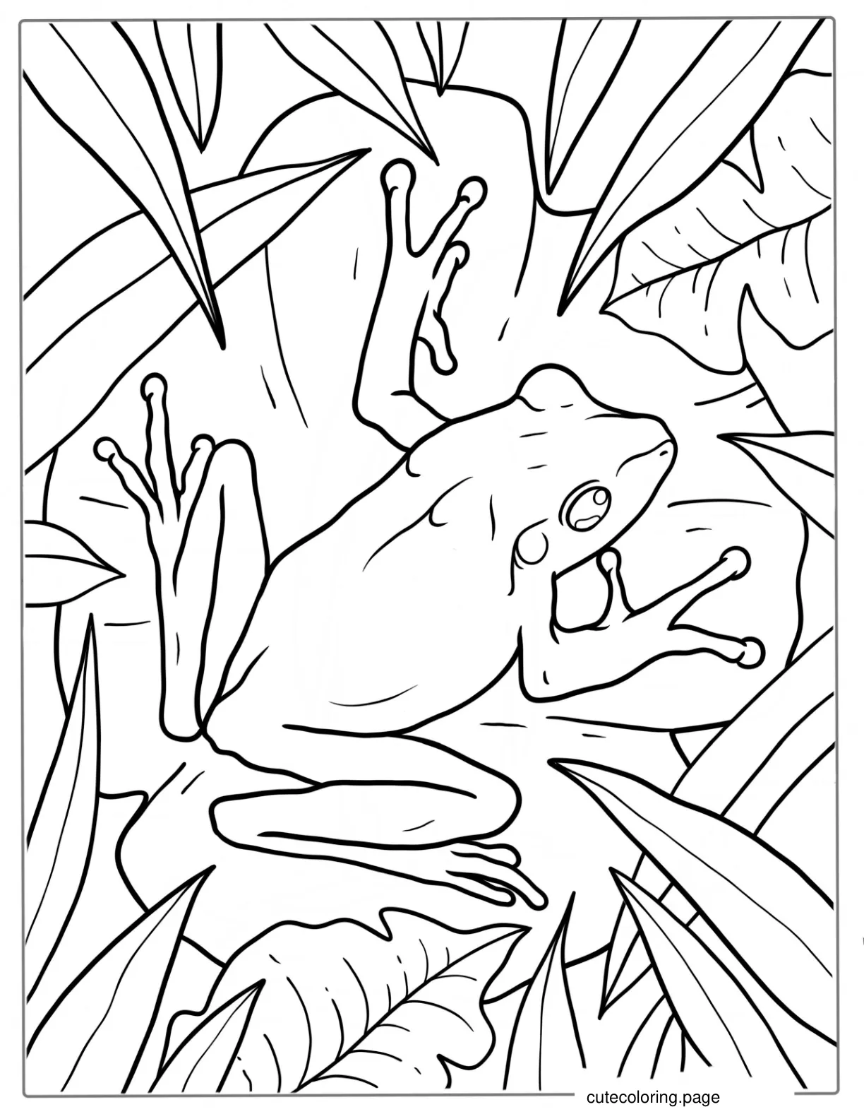 Common Frog On Lily Pad To Color coloring page