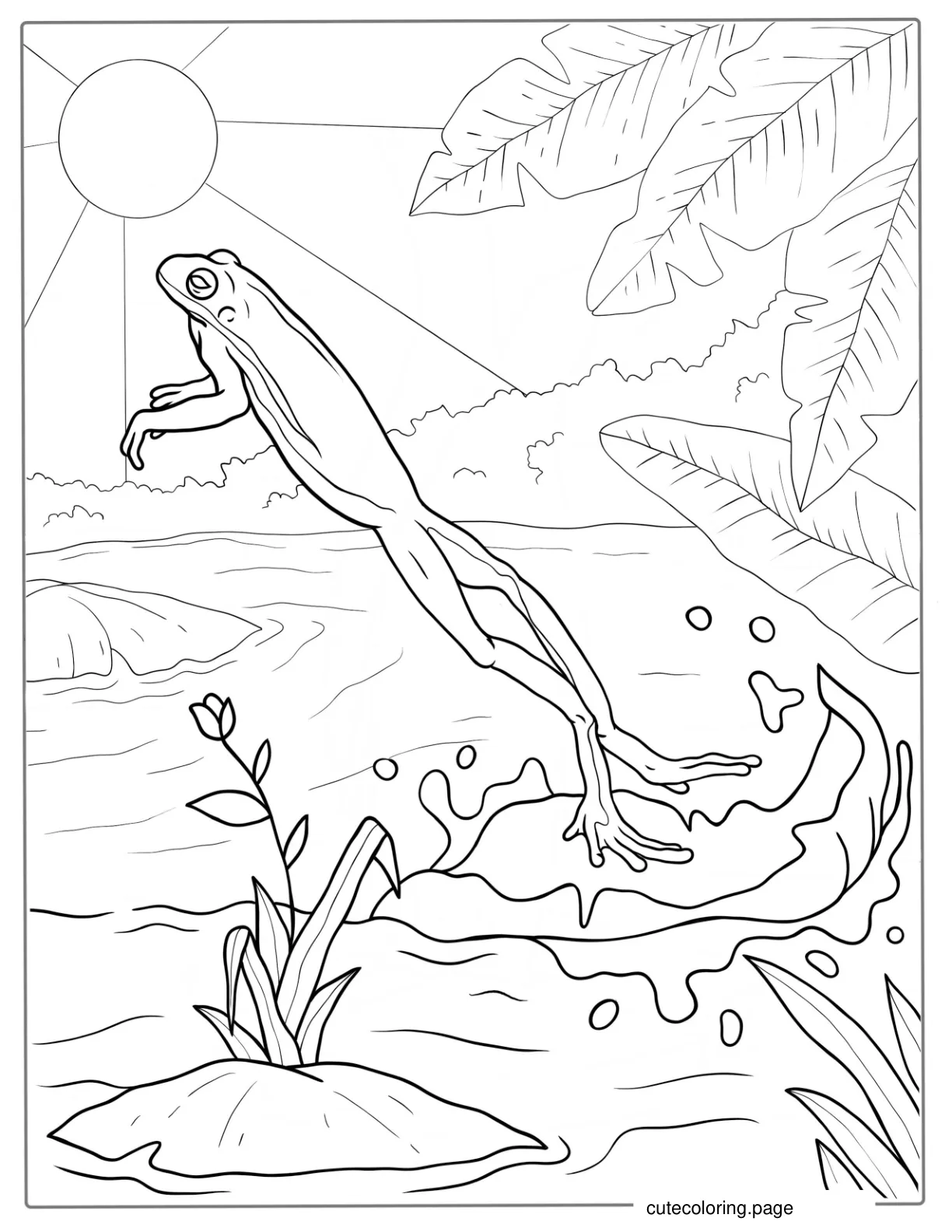 Frog Jumping Off Lily Pad coloring page