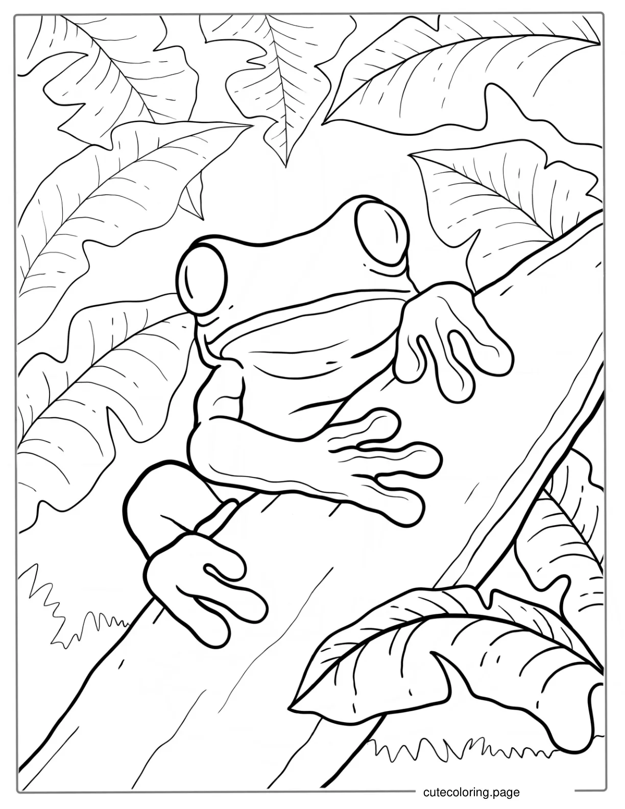 Green Tree Frog Coloring Sheet coloring page