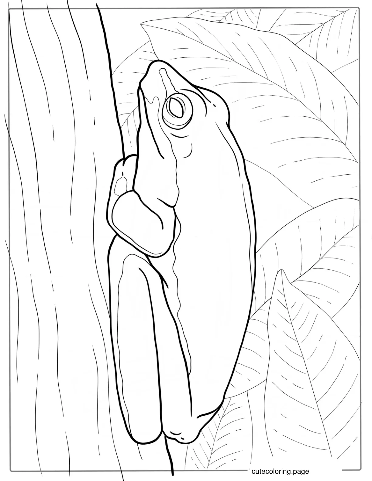 Green Tree Frog On Tree To Color coloring page