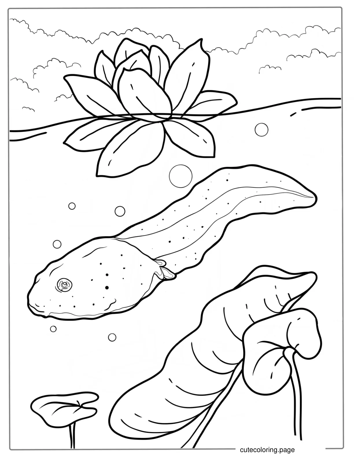 Tadpole Coloring Page For Kids coloring page