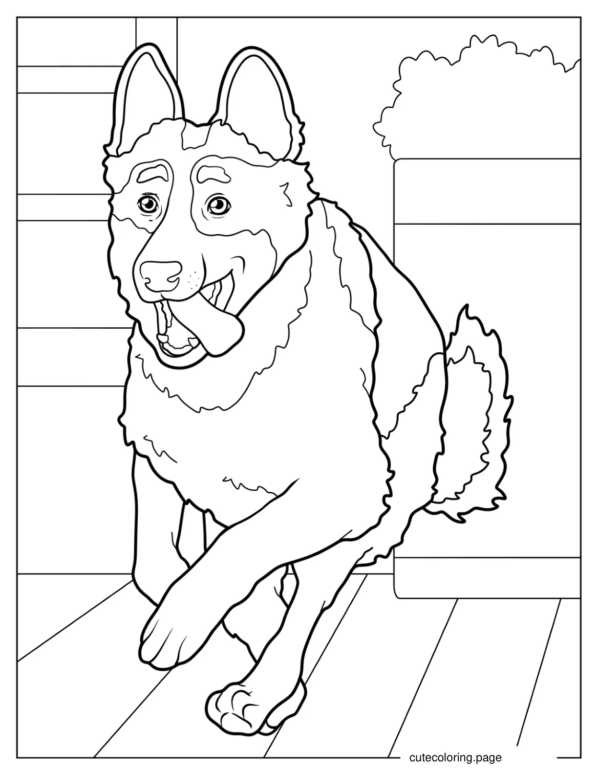 Fluffy German Shepherd Mid Run With Tongue Out coloring page