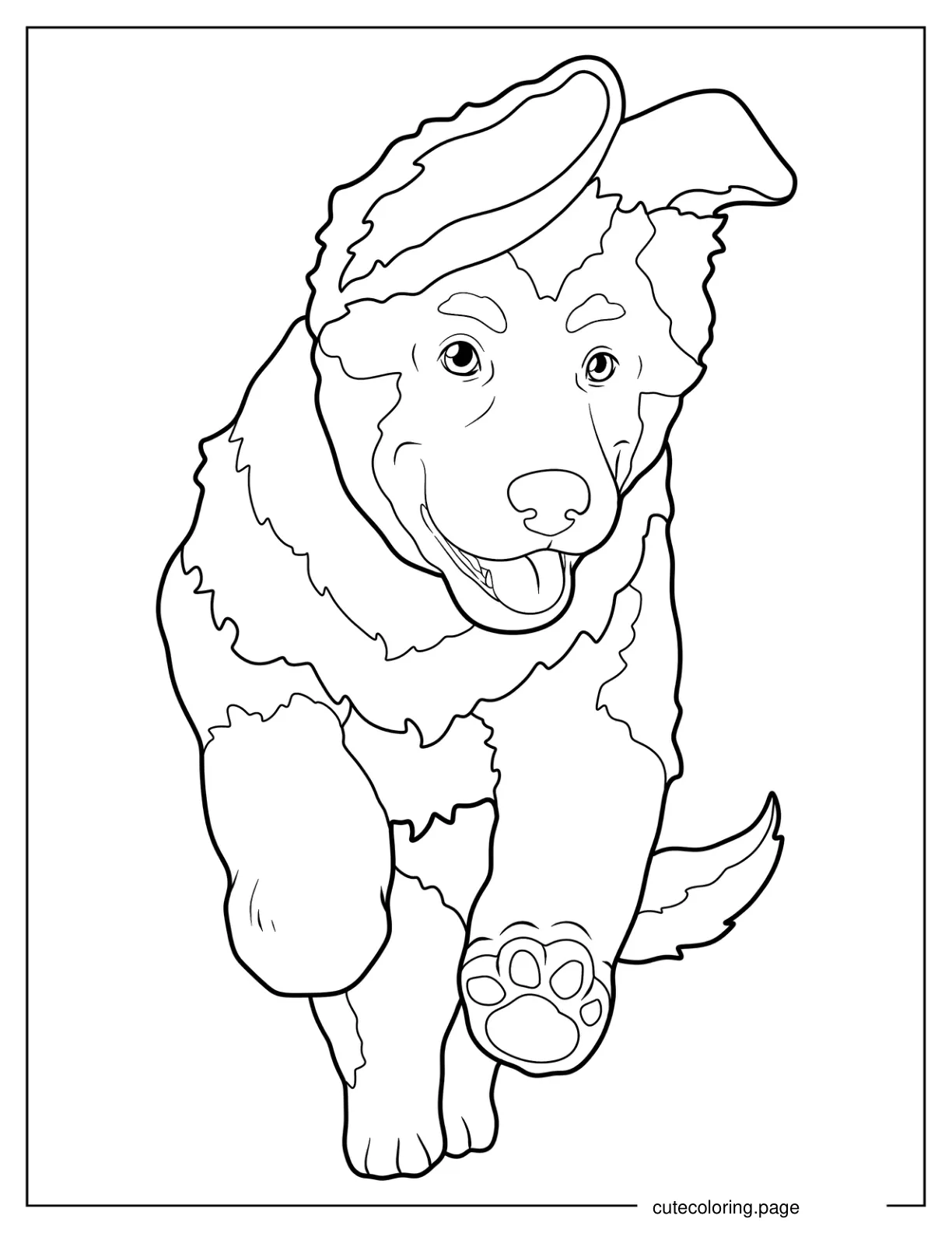 Simple Outline Of German Shepherd Puppy Coloring Page coloring page