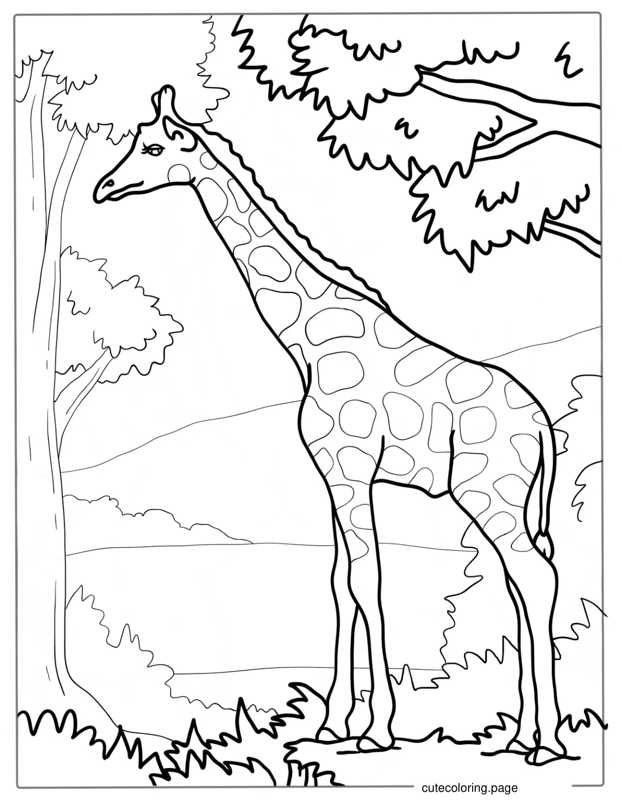 Adult Giraffe Looking For Food coloring page