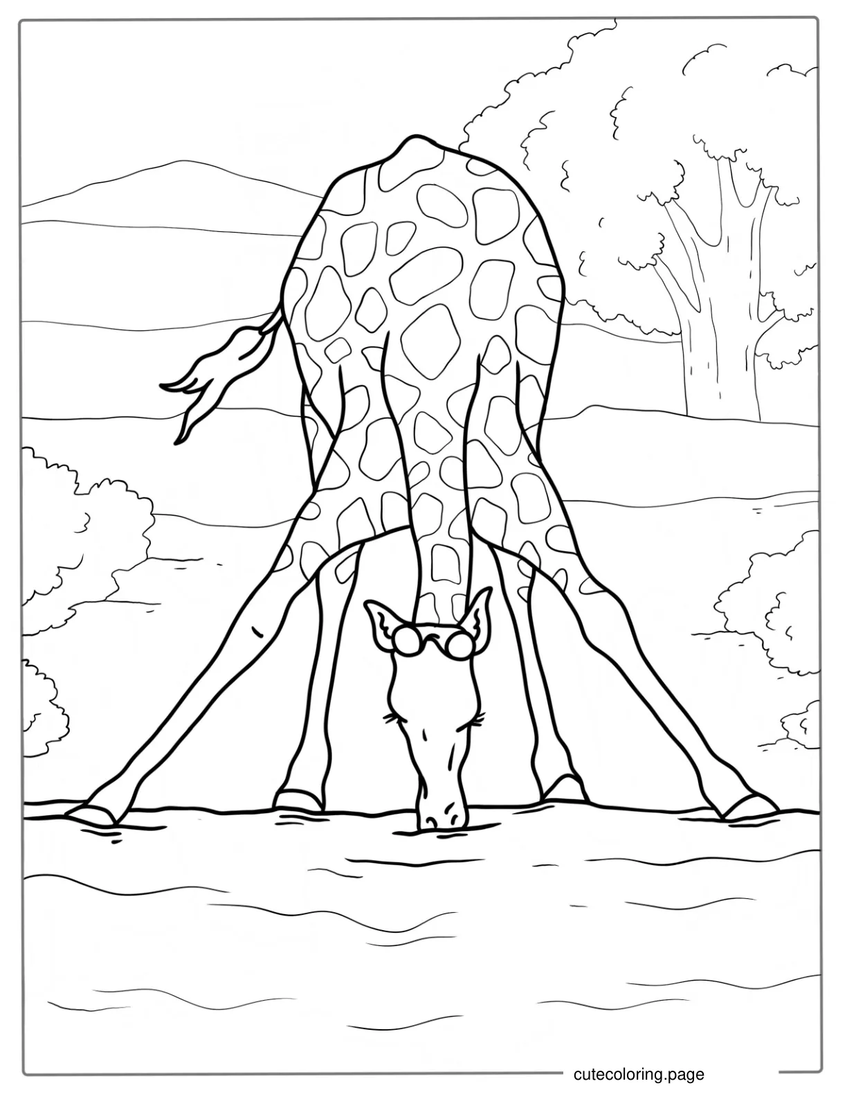 Giraffe Drinking From Watering Hole To Color coloring page