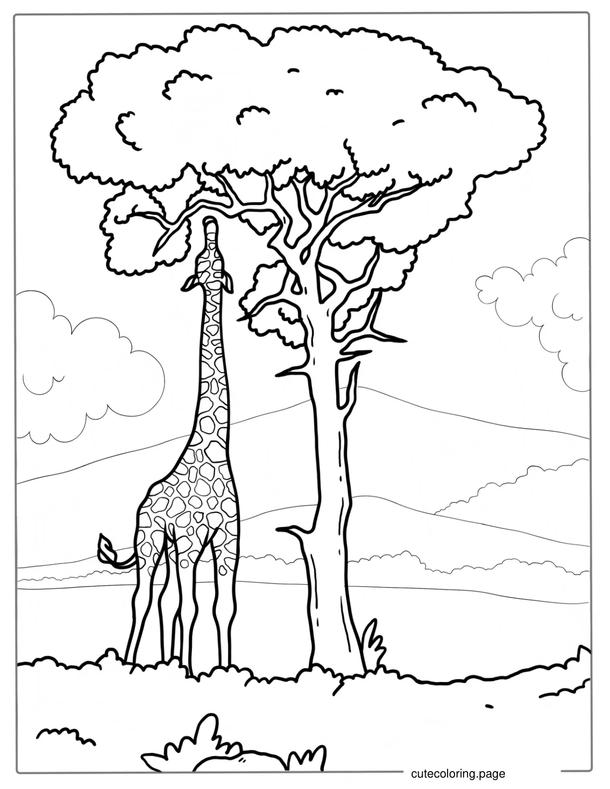 Giraffe Stretching Neck Eating Leaves From Tree coloring page