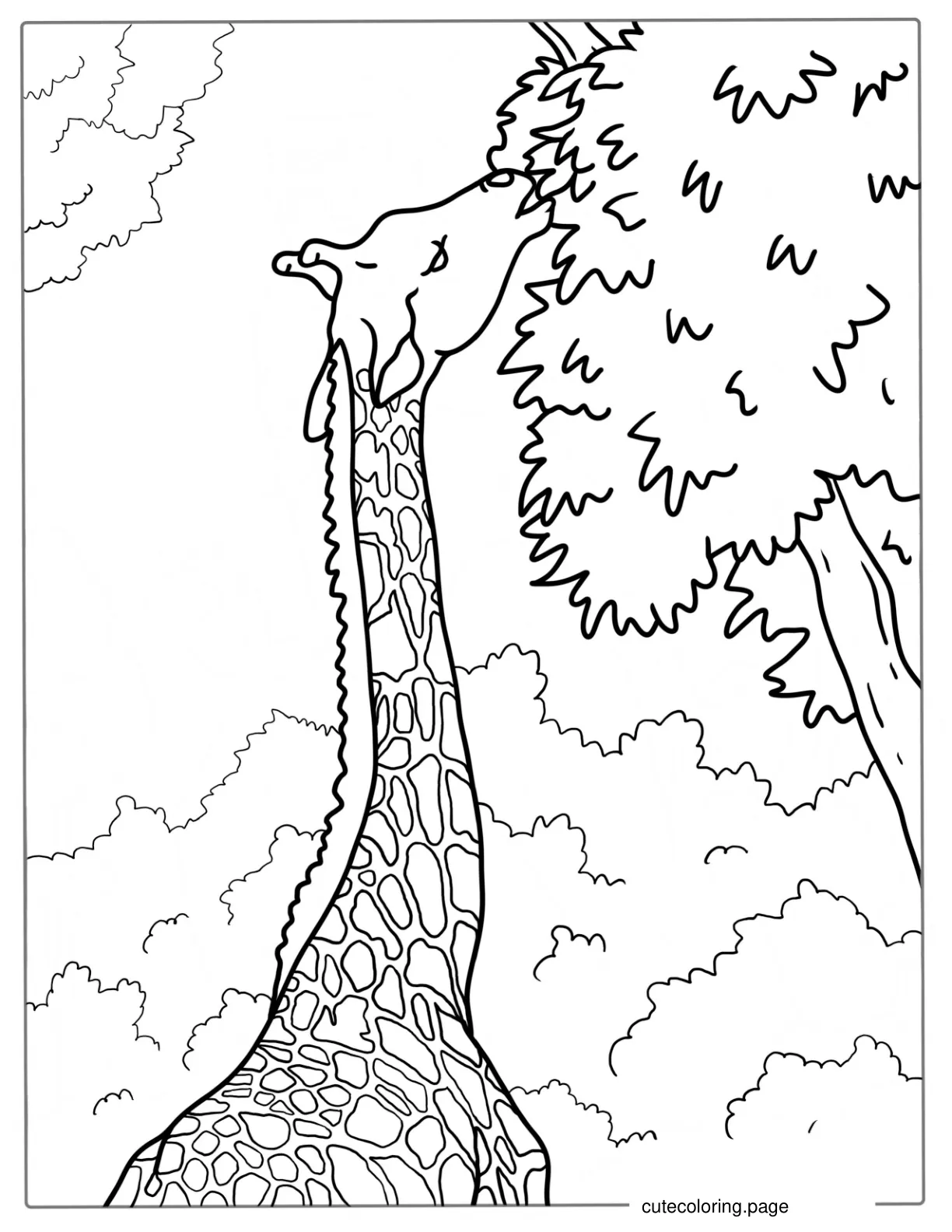 Realistic Giraffe Eating Leaves From Tree To Color coloring page