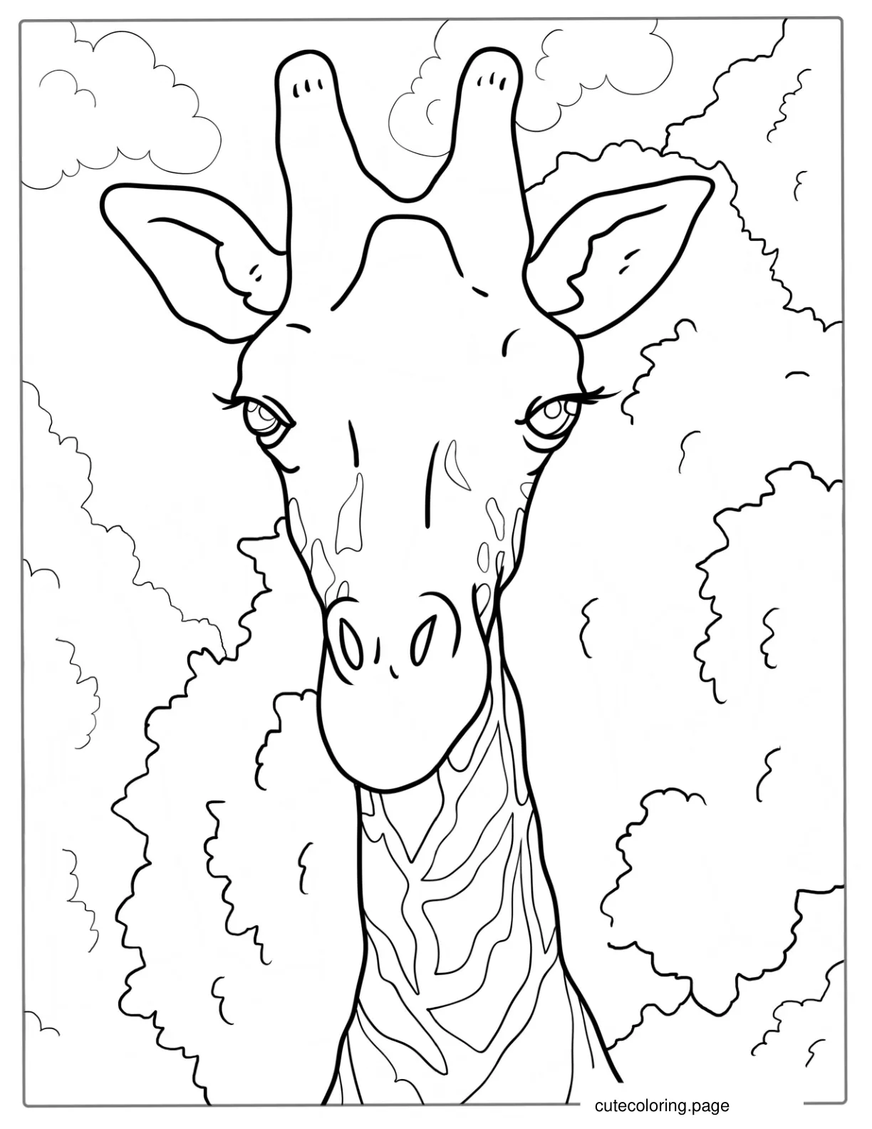 Realistic Giraffe Face Coloring Page coloring page