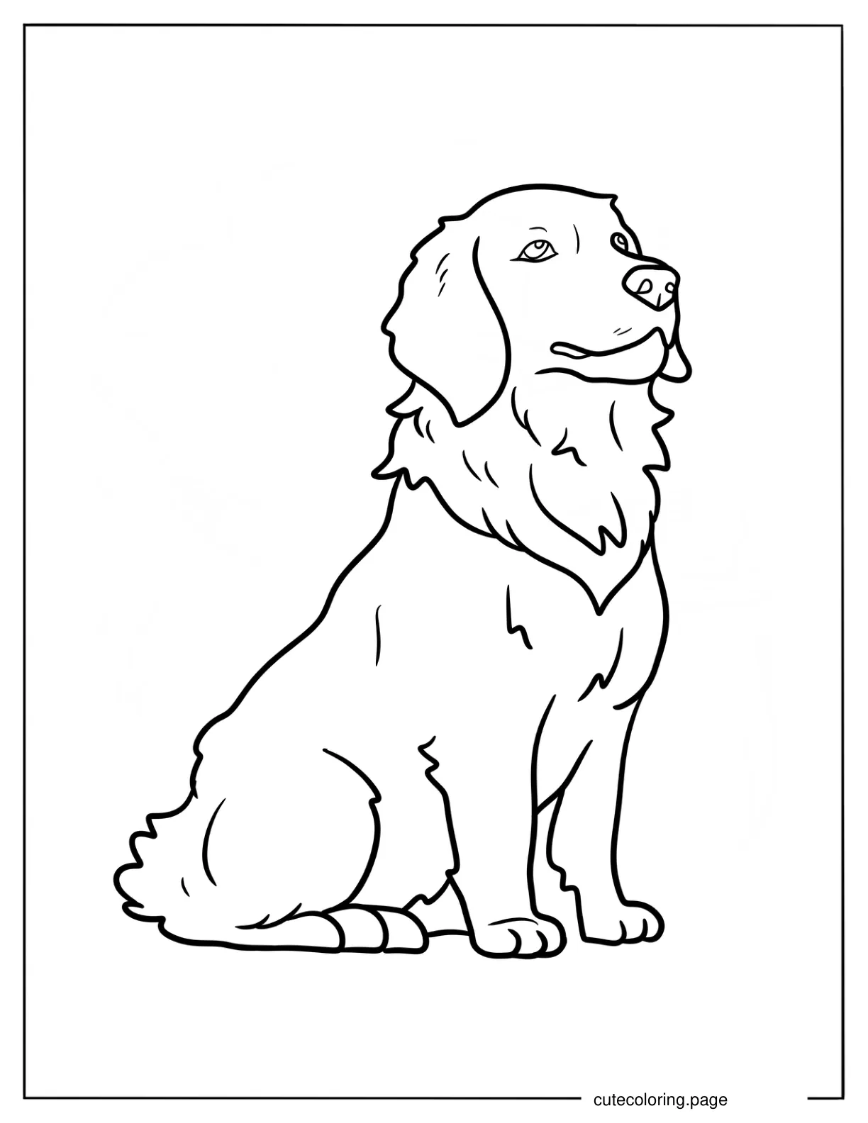 Adult Golden Retriever Sitting Coloring Sheet coloring page