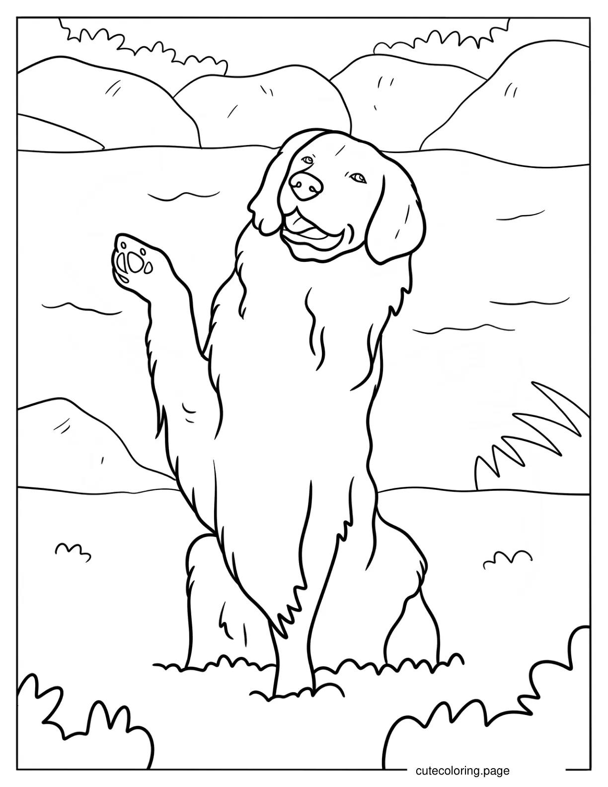 Easy Golden Retriever With Paw Up Coloring Sheet coloring page