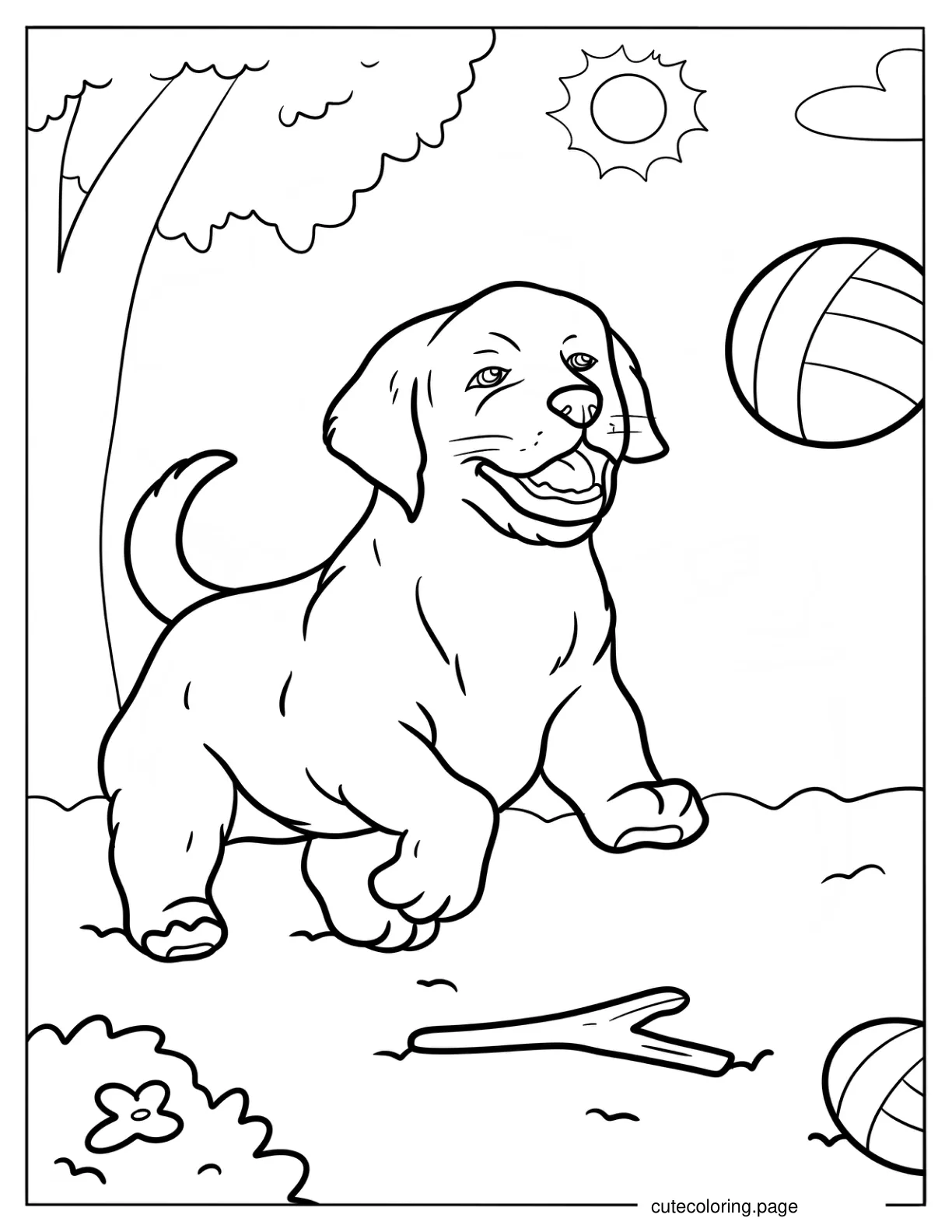 Golden Retriever Chasing A Ball coloring page