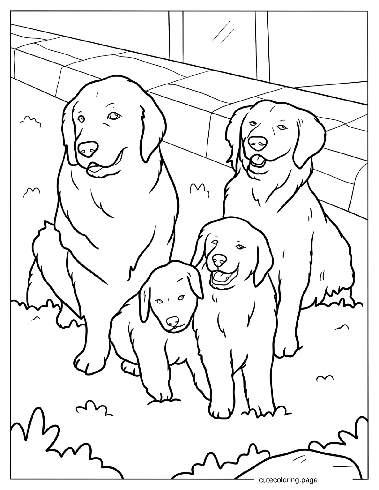 Golden Retriever Family In The Backyard Coloring Page coloring page