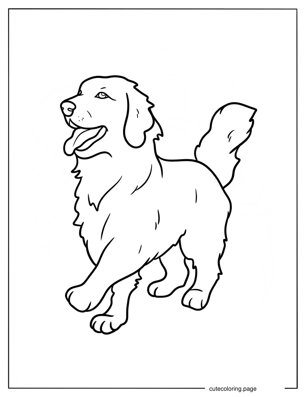 Large Golden Retriever Walking Coloring Sheet coloring page