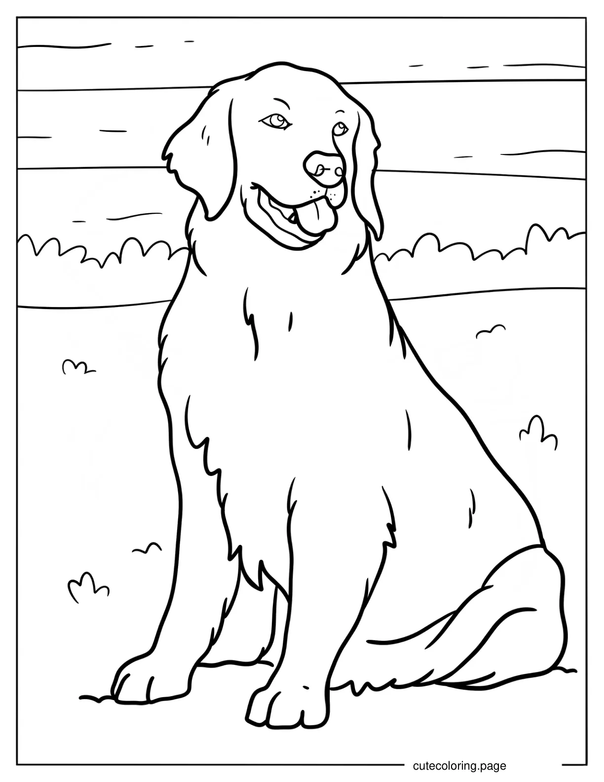 Simple Adult Golden Retriever Coloring Page For Kids coloring page