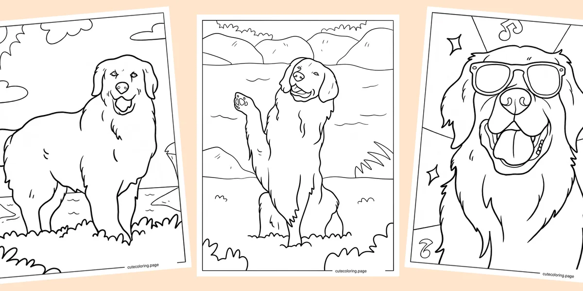 golden-retriever-coloring-pages