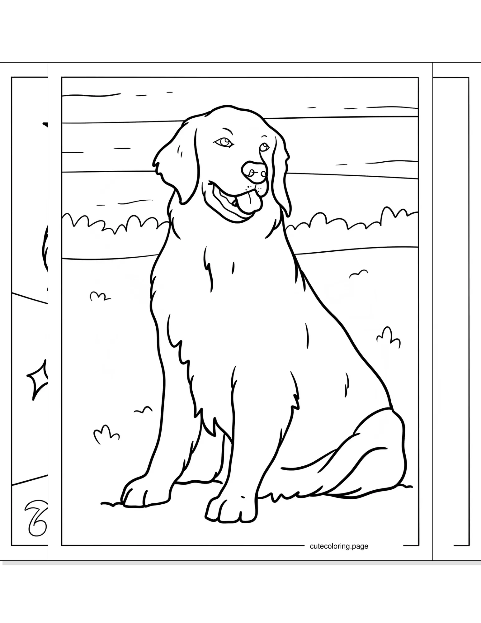 golden retriever coloring pages coloring page