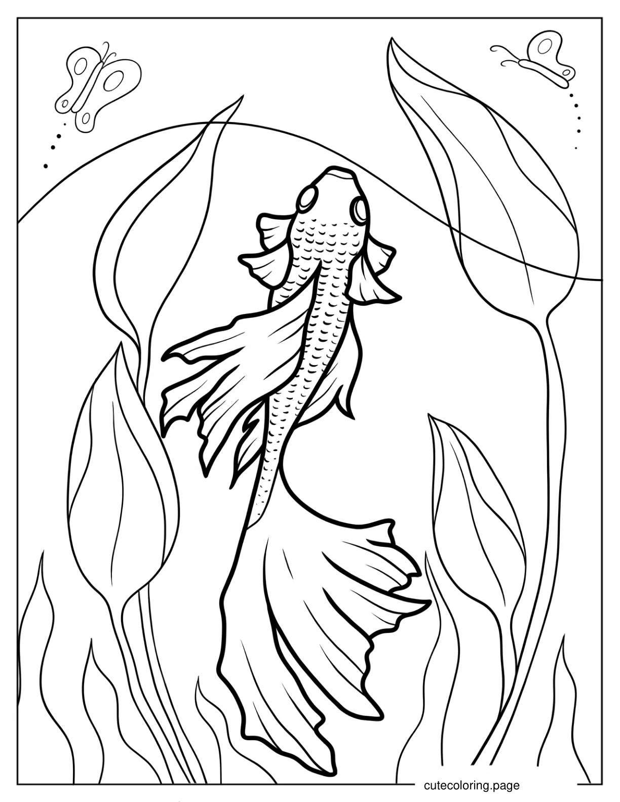 Top View Of Veiltail Goldfish Coloring Sheet coloring page