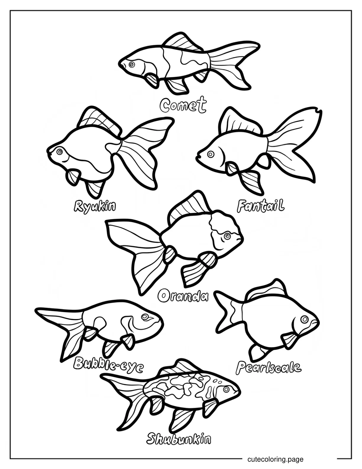 Types Of Goldfish Coloring Page coloring page