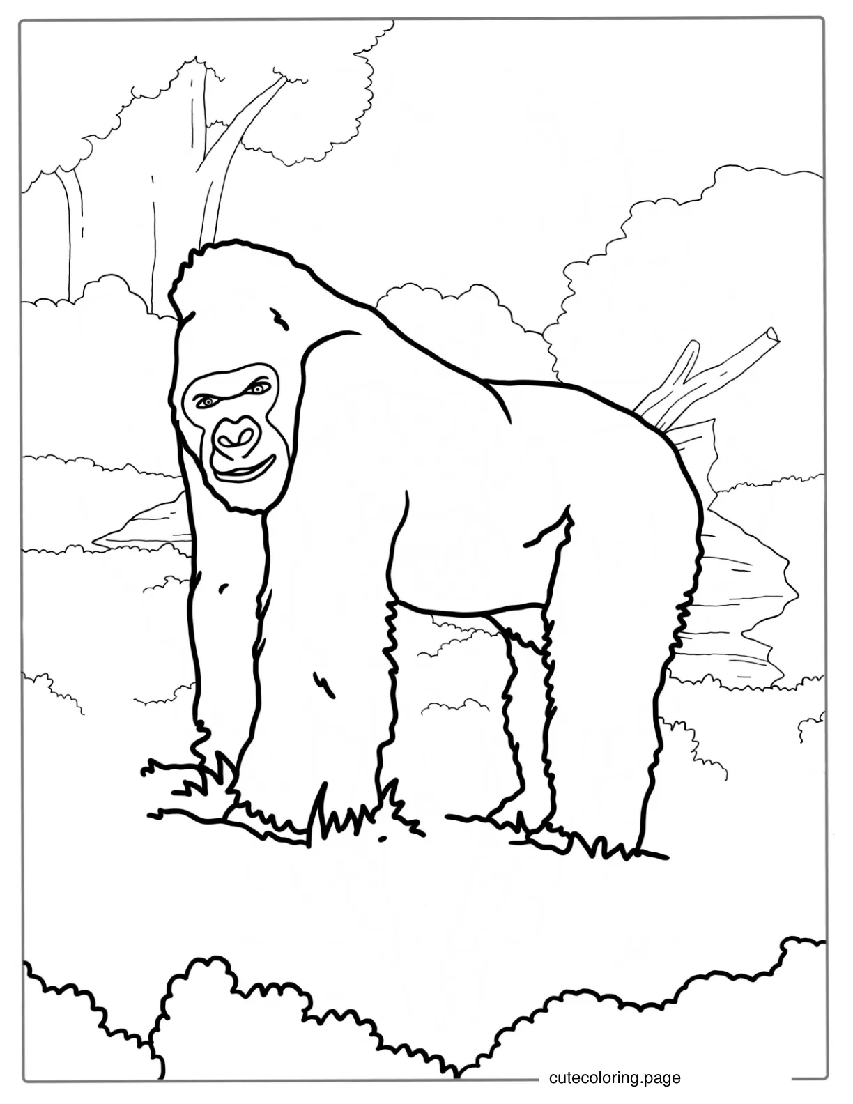 Silverback Gorilla Coloring Sheet coloring page