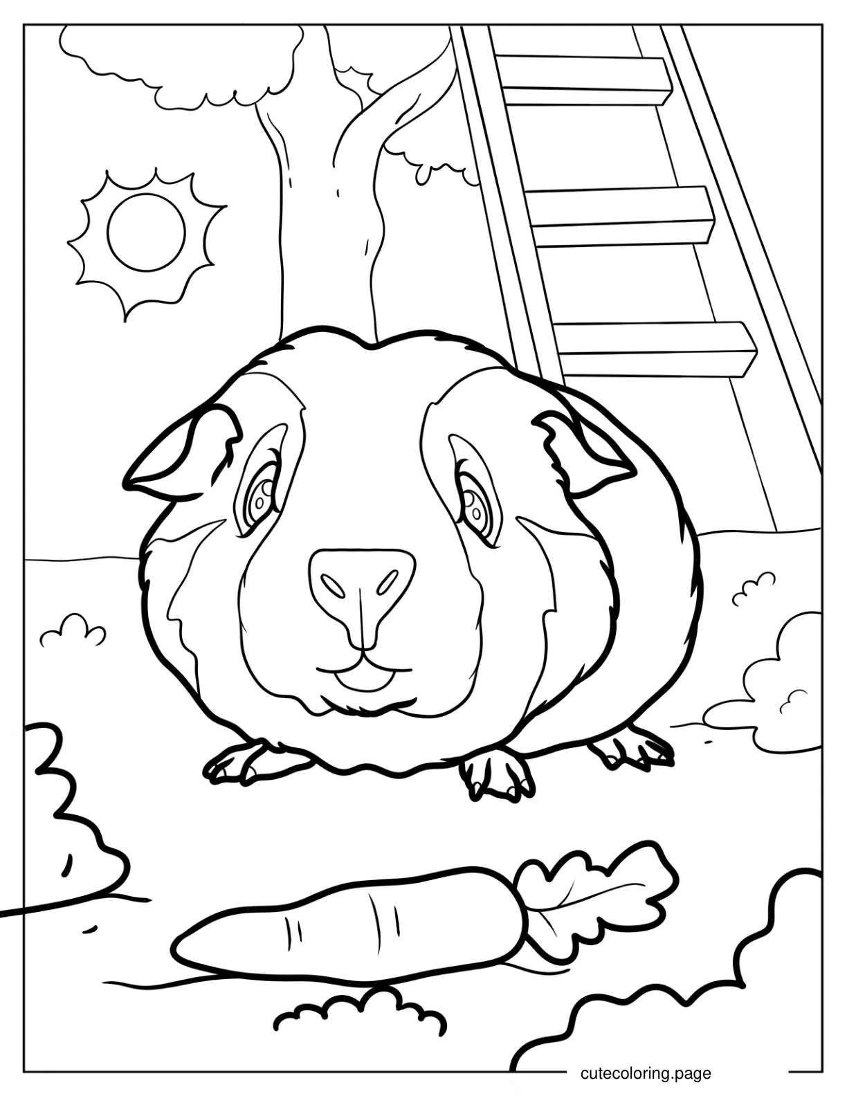 Close Up Of A Guinea Pig Under The Sun coloring page