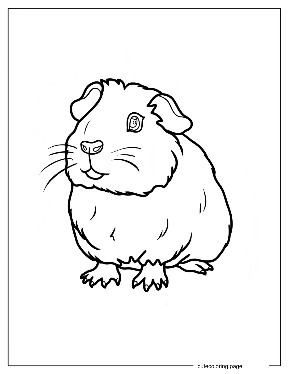 Guinea Pig Showing Paws Coloring Page coloring page