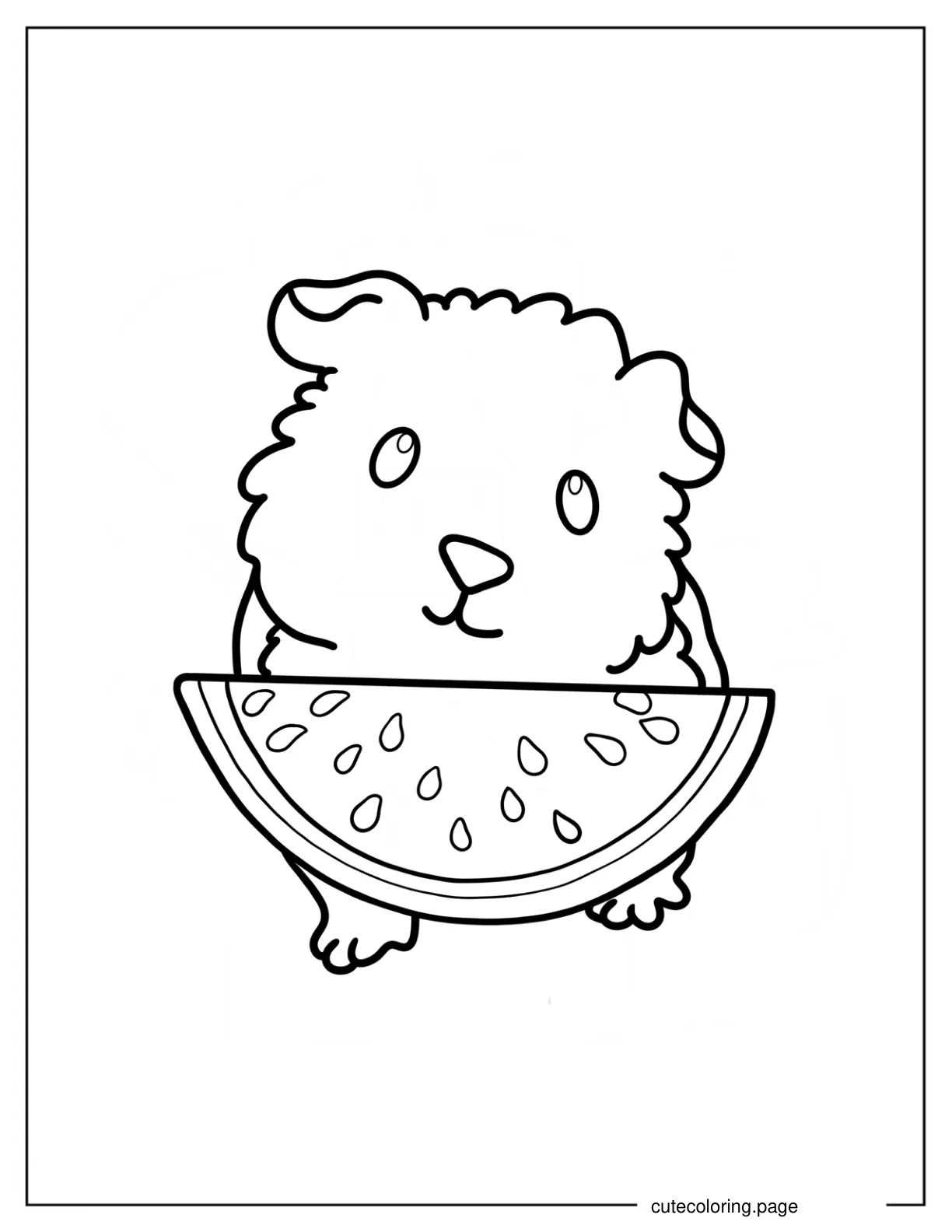 Guinea Pig With Watermelon Slice Coloring Page For Preschoolers coloring page