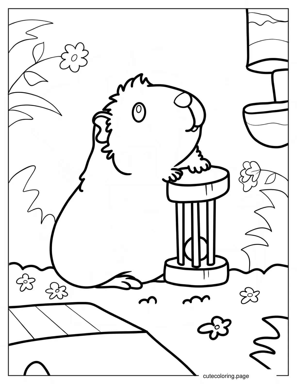 Simple Guinea Pig Looking Up Coloring Page For Kids coloring page