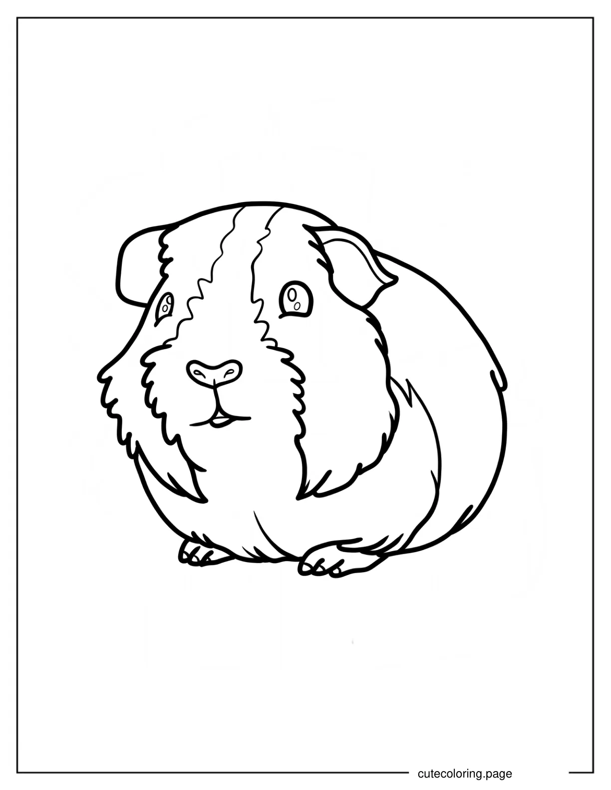 Simple Realistic Guinea Pig Coloring Page coloring page