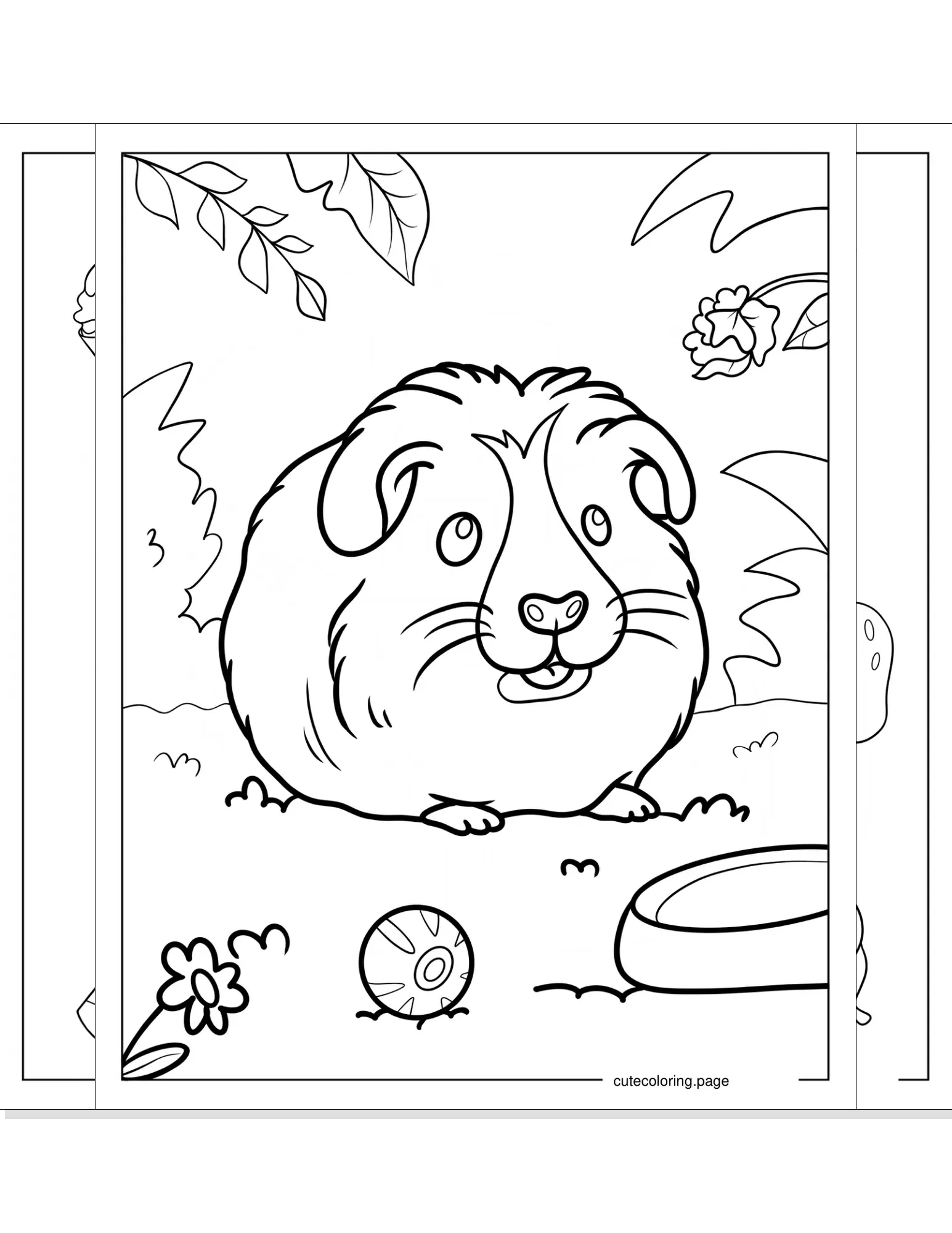 guinea pig coloring pages coloring page