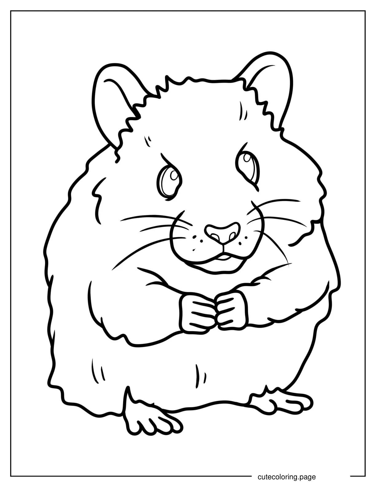 Furry Hamster Coloring Sheet For Kids coloring page