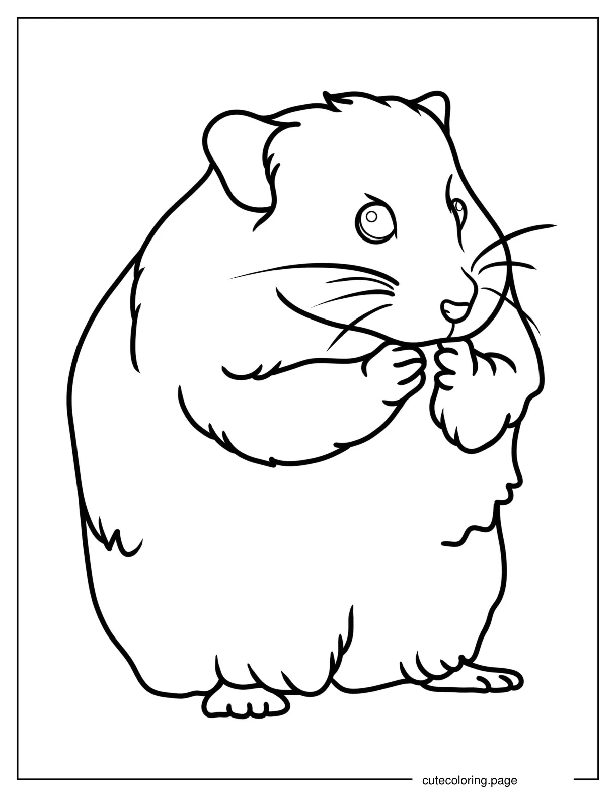 Outline Of Realistic Hamster Coloring In For Kids coloring page