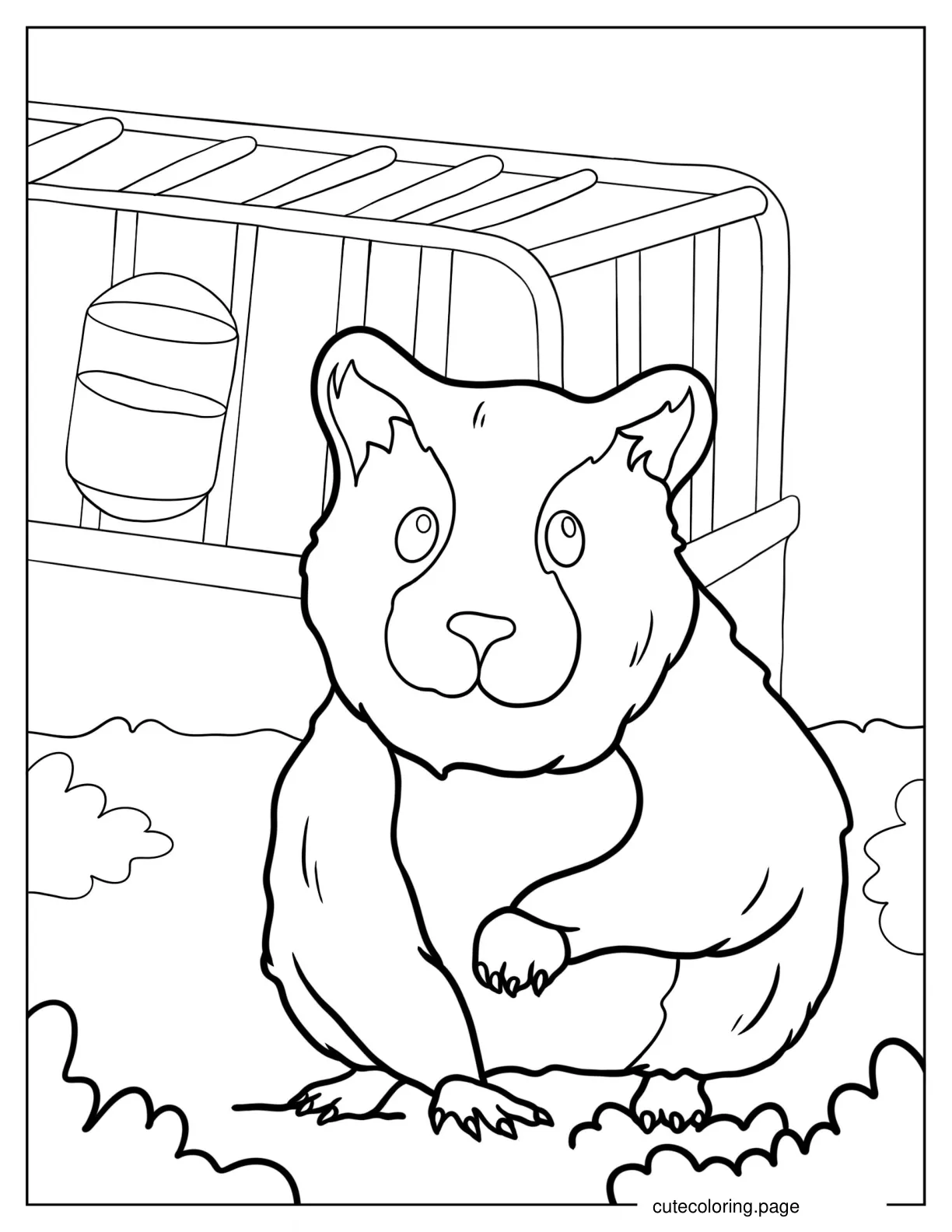 Realistic Hamster Outside Of Cage coloring page