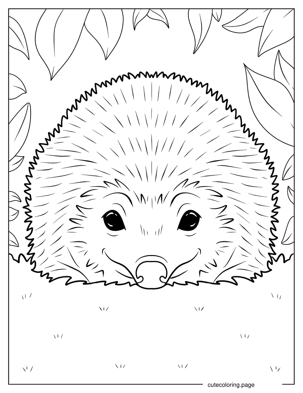 Detailed Hedgehog Resting On Grass coloring page