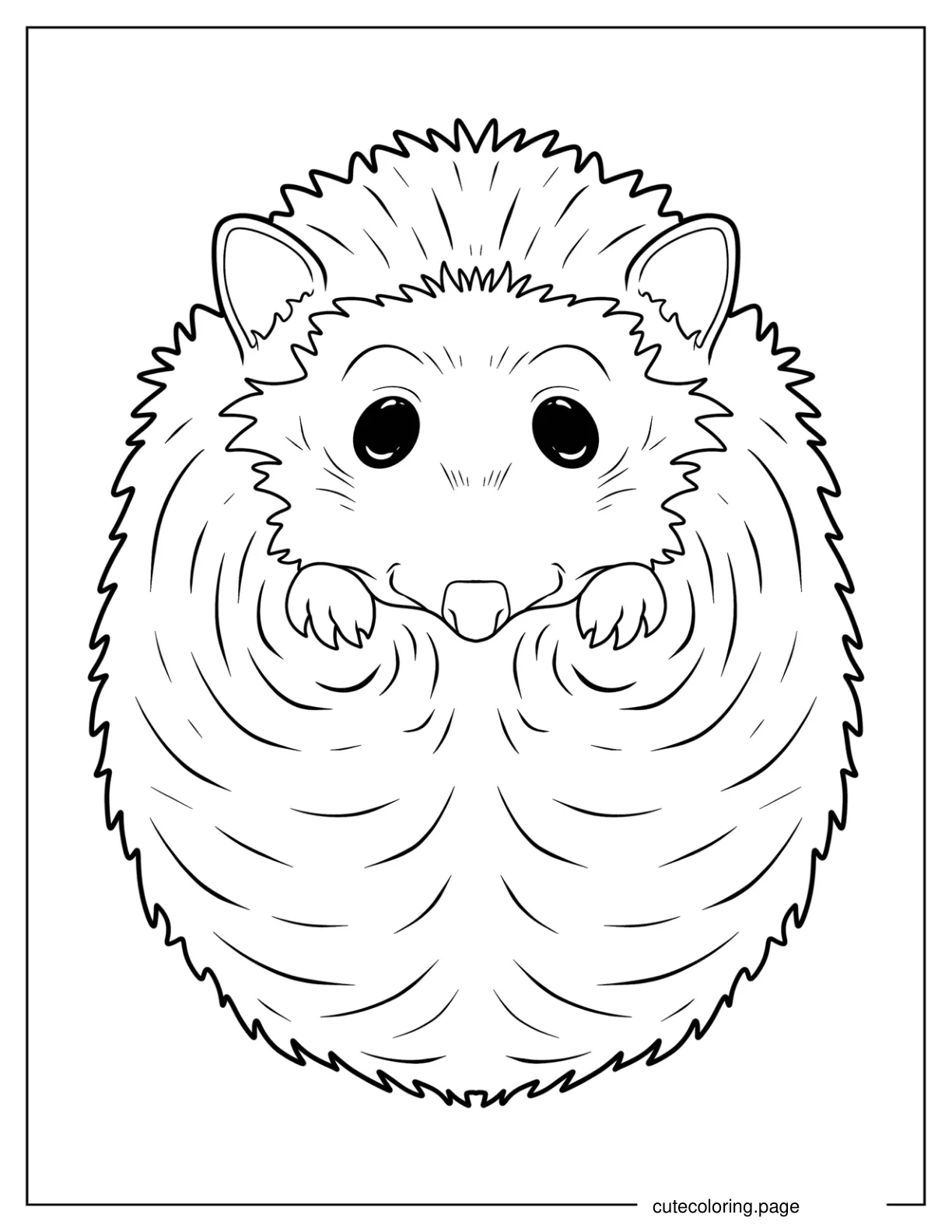 Furry Hedgehog Smiling Coloring Page coloring page