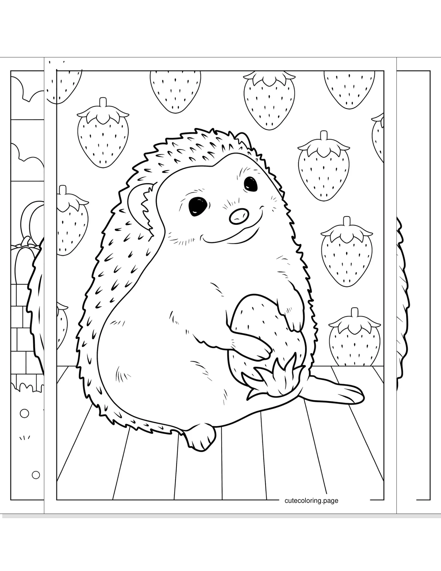 hedgehog coloring pages coloring page