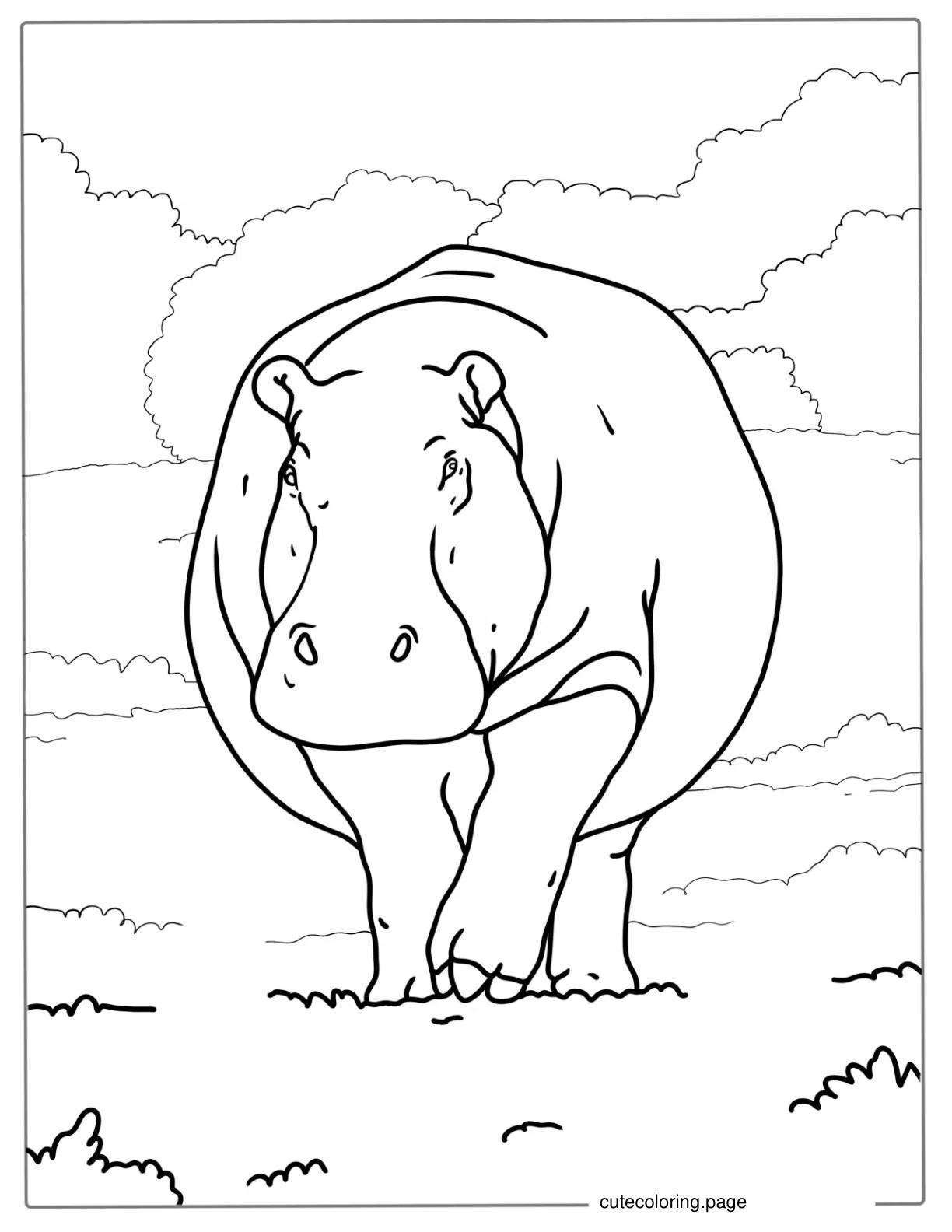 Big Adult Hippo Walking Coloring Page coloring page