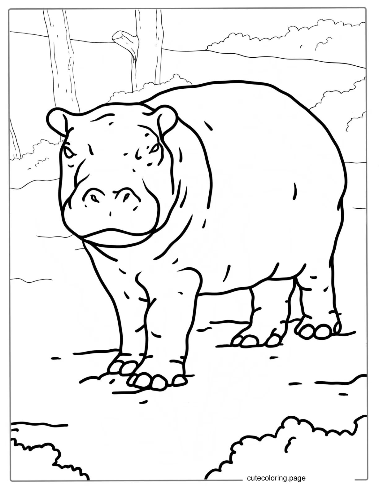 Cute Baby Hippopotamus Coloring Page coloring page